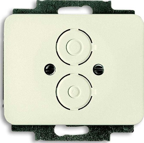 Busch-Jaeger Zentralscheibe elf/ws f.Kleinsteckdosen 1748-22G