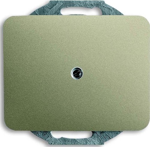 Busch-Jaeger Zentralscheibe pall Blindabdeckung 1742-260 Busch-Jaeger Zentralscheibe pall Blindabdeckung 1742-260