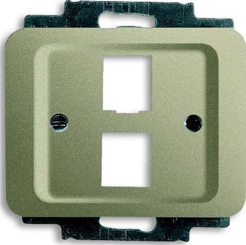 Busch-Jaeger Zentralscheibe pall für 2 Modular Jack 2561-02-260 Busch-Jaeger Zentralscheibe pall für 2 Modular Jack 2561-02-260