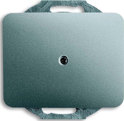 Busch-Jaeger Zentralscheibe ti m.Tragr.f.Ltgsauslaß 1749-266 Busch-Jaeger Zentralscheibe ti m.Tragr.f.Ltgsauslaß 1749-266