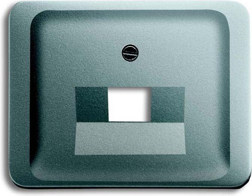 Busch-Jaeger Zentralscheibe ti f.UAE-Anschlussdo.1f 1803-266 Busch-Jaeger Zentralscheibe ti f.UAE-Anschlussdo.1f 1803-266