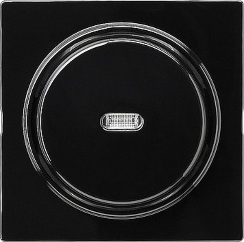 Gira Tast-Kontrollschalter schwarz S-Color 012247