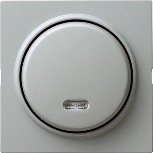 Gira Wipptaster 42V kpl. gr S-Color 015342