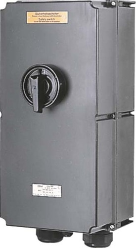 Ceag Sicherheitst. Ex-Sicherheitsschalter 125A, Standard Zone GHG 265 0010 R0001