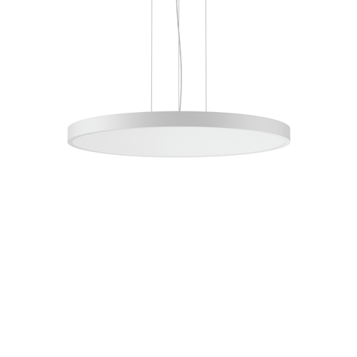 RZB LED-Pendelleuchte 2700-6500K, s+f, weiß 312389.002.2.730