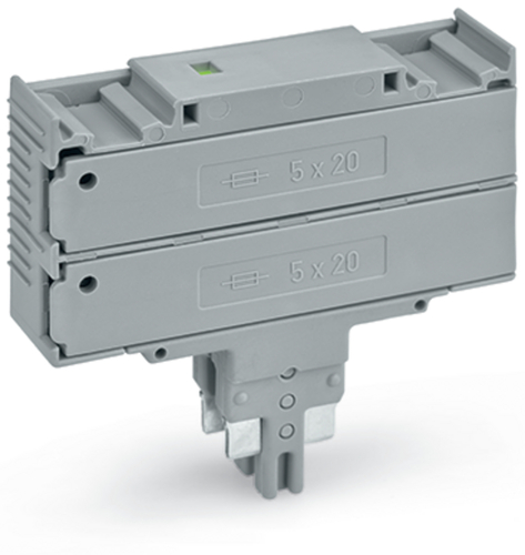 WAGO GmbH & Co. KG Doppelsicherungsstecker Leuchtanzeige,grau 2003-911/1000-923
