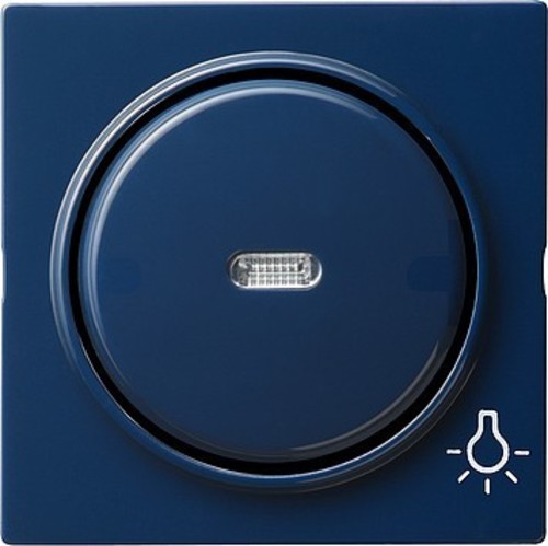 Gira Wippe Licht bl S-Color 028546