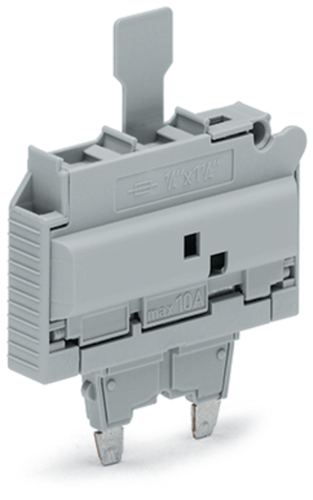 WAGO GmbH & Co. KG Sicherungsstecker Einsatz " x 1",grau 2006-931/1099-859