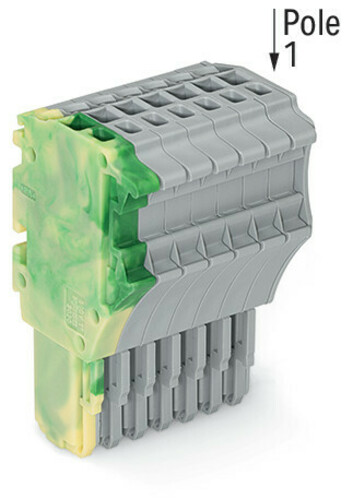 WAGO GmbH & Co. KG 1-Leiter-Federleiste 1,5 mm²,gn-ge/gr 2020-107/000-037