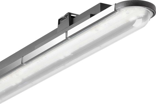 Trilux LED-Feuchtraumleuchte 4000K anthrazit Nextrema G3 #7365040