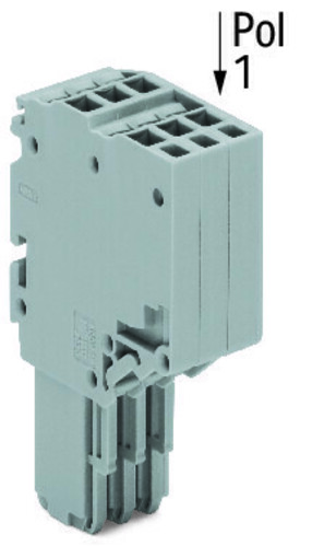 WAGO GmbH & Co. KG 2-Leiter-Federleiste CAGECLAMP,1,5mm²,gr 2020-204