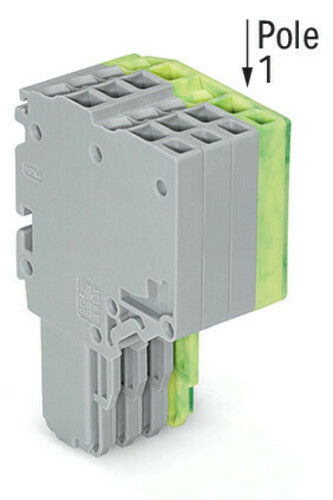 WAGO GmbH & Co. KG 2-Leiter-Federleiste 1,5mm²,gr/gn-ge 2020-204/000-036