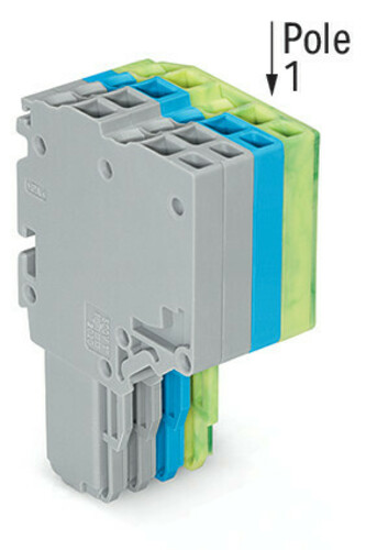 WAGO GmbH & Co. KG 2-Leiter-Federleiste 1,5mm²,gr/bl/gn-ge 2020-204/000-038