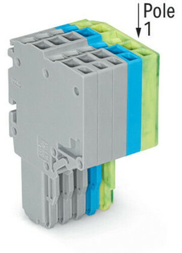 WAGO GmbH & Co. KG 2-Leiter-Federleiste 1,5mm²,gr/bl/gn-ge 2020-205/000-038