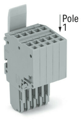 WAGO GmbH & Co. KG 2-Leiter-Federleiste CAGECLAMP,1,5mm²,gr 2020-205/124-000