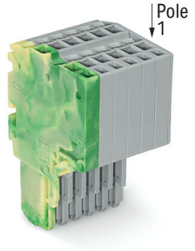 WAGO GmbH & Co. KG 2-Leiter-Federleiste 1,5mm²,gn-ge/gr 2020-206/000-037