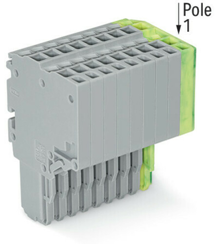 WAGO GmbH & Co. KG 2-Leiter-Federleiste 1,5mm²,gr/gn-ge 2020-210/000-036