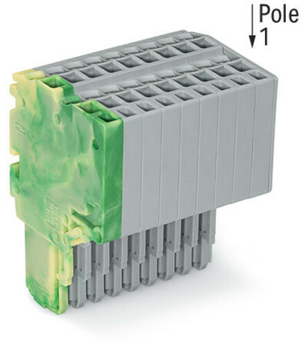 WAGO GmbH & Co. KG 2-Leiter-Federleiste 1,5mm²,gn-ge/gr 2020-210/000-037
