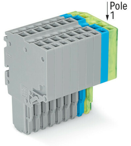 WAGO GmbH & Co. KG 2-Leiter-Federleiste 1,5mm²,gr/bl/gn-ge 2020-210/000-038