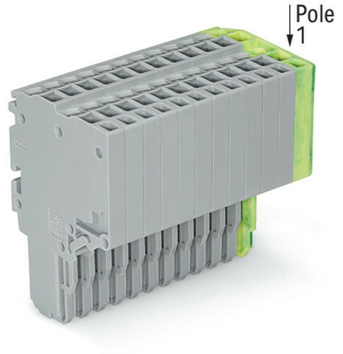 WAGO GmbH & Co. KG 2-Leiter-Federleiste 1,5mm²,gr/gn-ge 2020-212/000-036