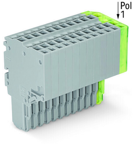 WAGO GmbH & Co. KG 2-Leiter-Federleiste 1,5mm²,gr/gn-ge 2020-215/000-036
