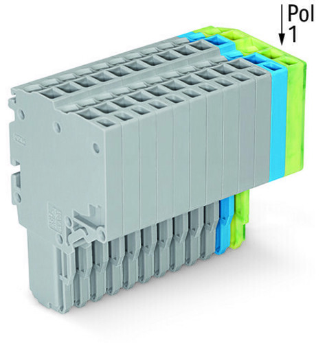 WAGO GmbH & Co. KG 2-Leiter-Federleiste 1,5mm²,gr/bl/gn-ge 2020-215/000-038
