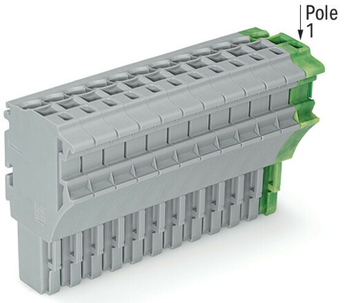 WAGO GmbH & Co. KG 1-Leiter-Federleiste 4 mm²,gr/gn-ge 2022-114/000-036