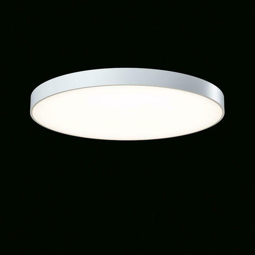 Ridi-Leuchten LED-Anbauleuchte 830 STORA-RA #SPC0620068