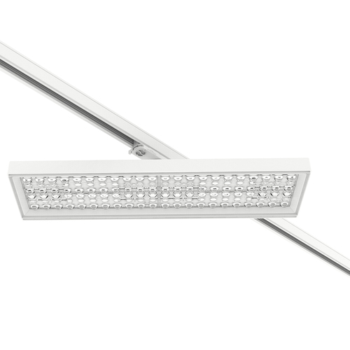 Performance in Light LED-Stromschienenstrahler 4000K 3101719