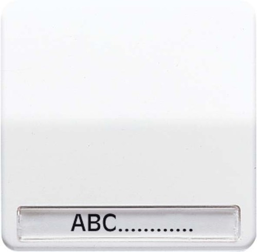 Jung Wippe Schriftfeld br für Taster CD 590 NA BR