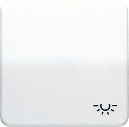 Jung Wippe Symbol LICHT gold br für Taster CD 590 L GB