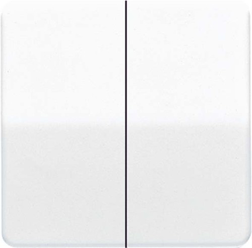 Jung Wippe go-brz für Taster CD 595 GB