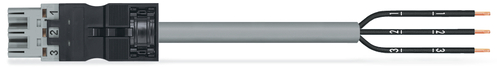 WAGO GmbH & Co. KG konfektion. Anschlussltg. Eca,Stecker,gr 771-4993/207-103