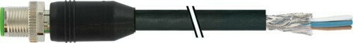 Murrelektronik Anschlussleitung 7000-13081-6410500 Murrelektronik Anschlussleitung 7000-13081-6410500