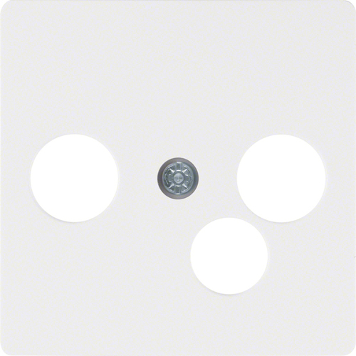 Berker Zentralplatte pws f.Breitband-Modemdo. 143909