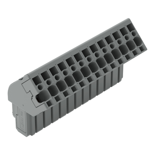 WAGO GmbH & Co. KG 1-Leiter Federleiste CAGECLAMP,4mm²,gr 769-113/022-000