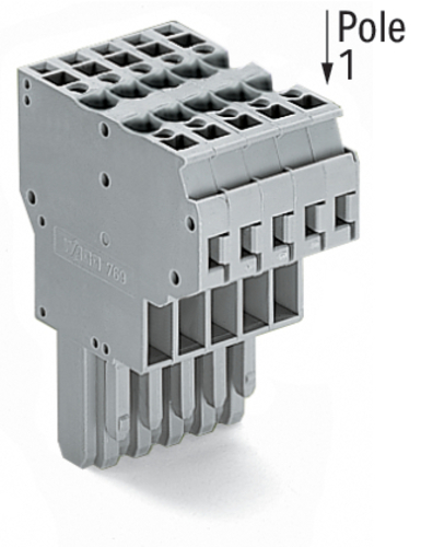 WAGO GmbH & Co. KG 2-Leiter-Federleiste CAGECLAMP,4mm²,gr 769-125