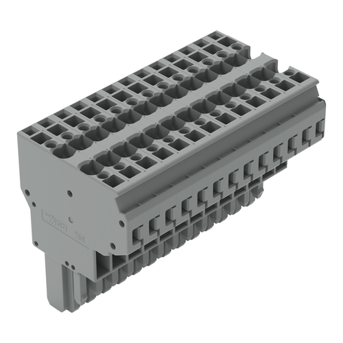WAGO GmbH & Co. KG 2-Leiter-Federleiste CAGECLAMP,4mm²,gr 769-133