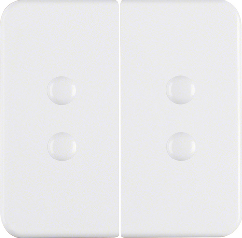 Berker Wippe pws 156509