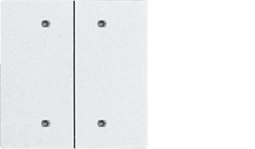 Eltako Doppelwippe für Bustaster E-Design55 ungrav. DW-B4T55E-pg