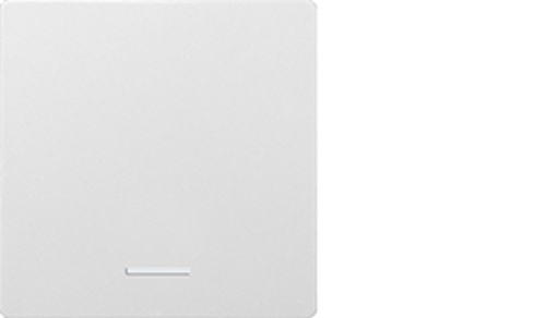 Eltako Wippe für Funktaster E-Design55 W-F1T55E-pg