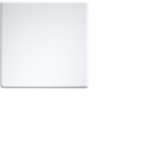 Eltako Wippe für Funktaster E-Design55 W-F2T55E-pm