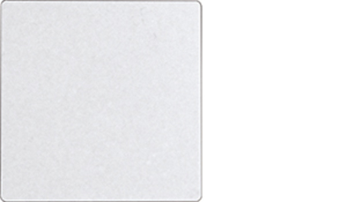 Eltako Funk-2-Kanal-Taster BT, 55x55mm F2T55EBT-pg Eltako Funk-2-Kanal-Taster BT, 55x55mm F2T55EBT-pg