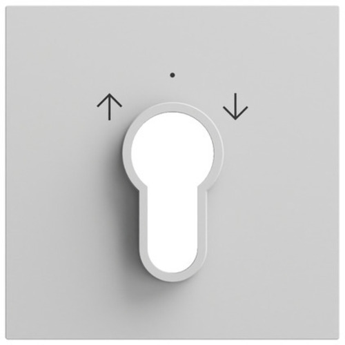 Gira Schlüsselschalter/-taster 066476