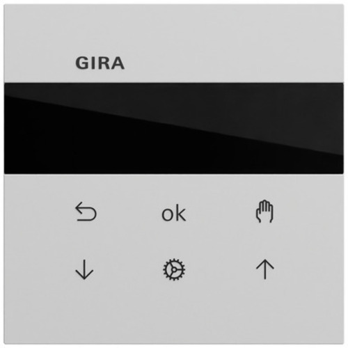 Gira S3000 Jal.-/Schaltuhr Display System 70 536676