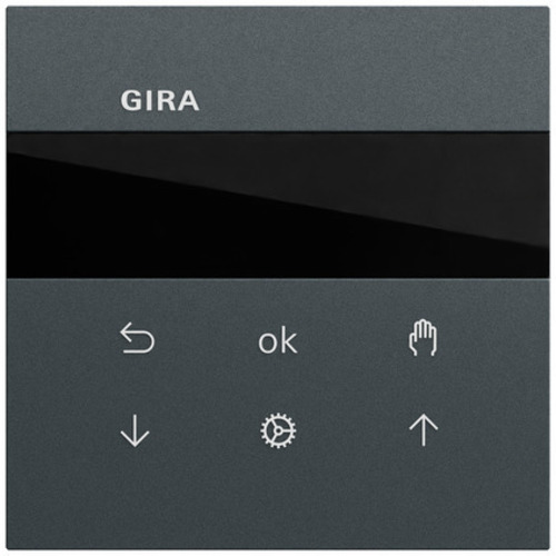 Gira S3000 Jal.-/Schaltuhr Display System 70 536673