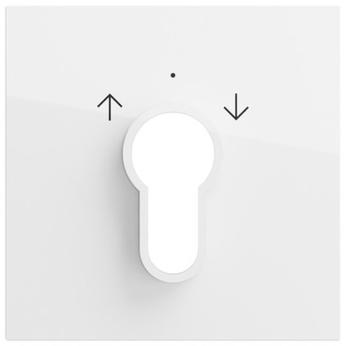 Gira Schlüsselschalter/-taster System 70 Reinweiß 066470