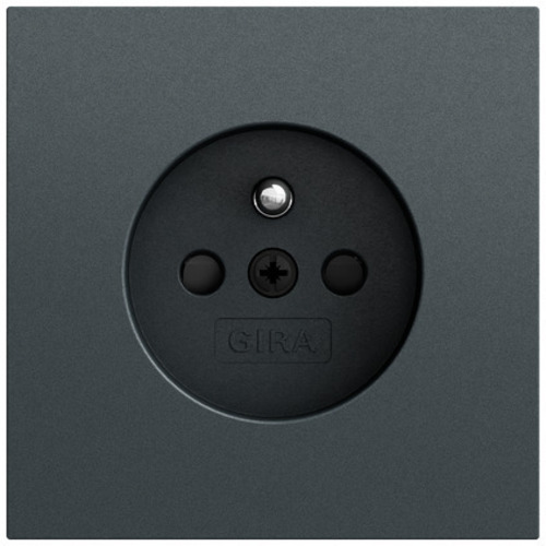 Gira Steckd. Erdstift + SP System 70 448573