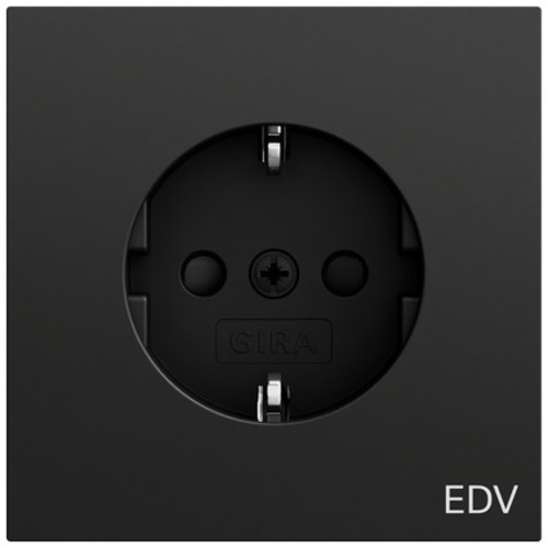 Gira Steckdose. Aufdruck EDV + SP System 70 446174