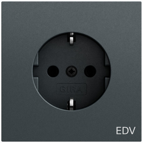 Gira Steckdose. Aufdruck EDV System 70 445873
